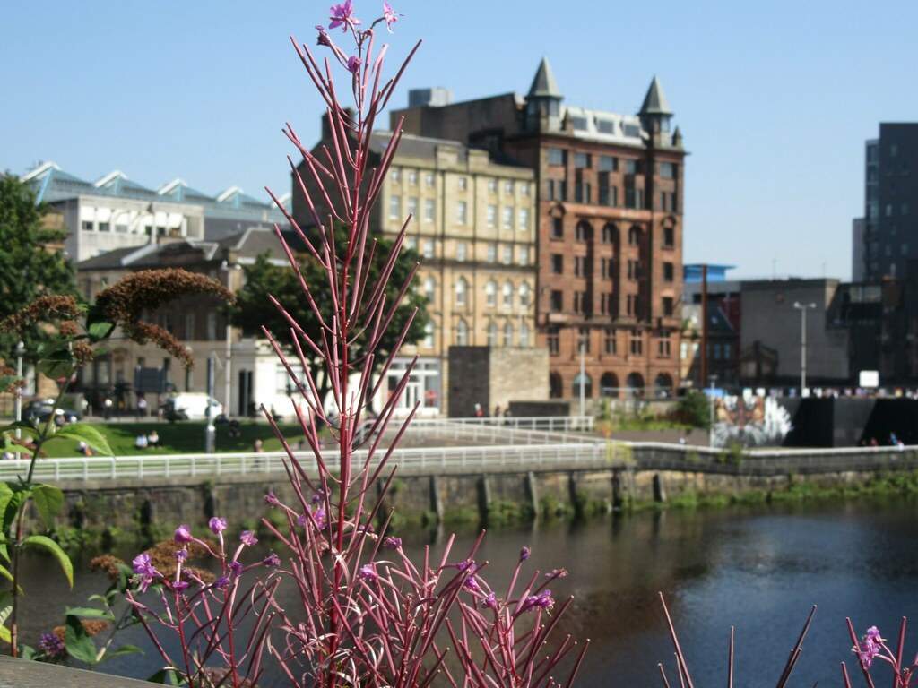 River Clyde, Glasgow Wild flowers on Glasgow Bridge, over … Flickr