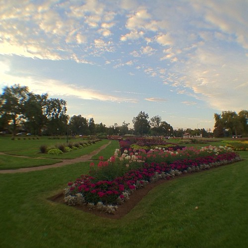 Flower beds in Washington Park, Denver, Colorado. Gretchen Vaughn