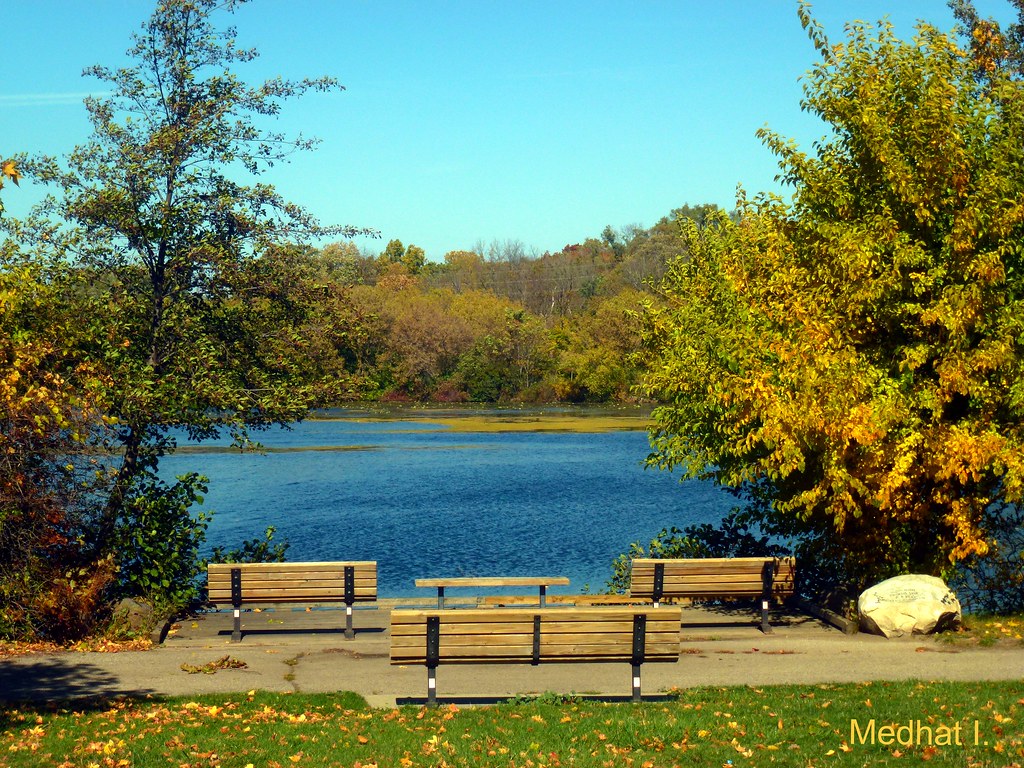 Water Views! P1130542 "Huron River III!" View Awards Count… medaibl