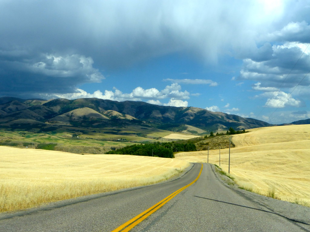 P1170472BUCKSKIN ROAD WHEATFIELDS Barbara Burnell Flickr