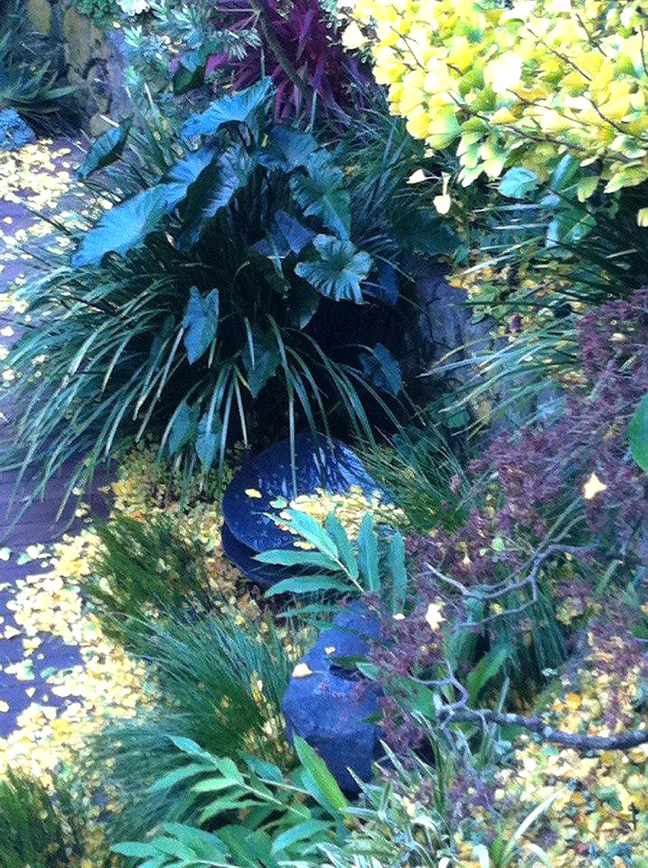 New Garden DesignNew Garden Design in San Francisco by Ga… Flickr