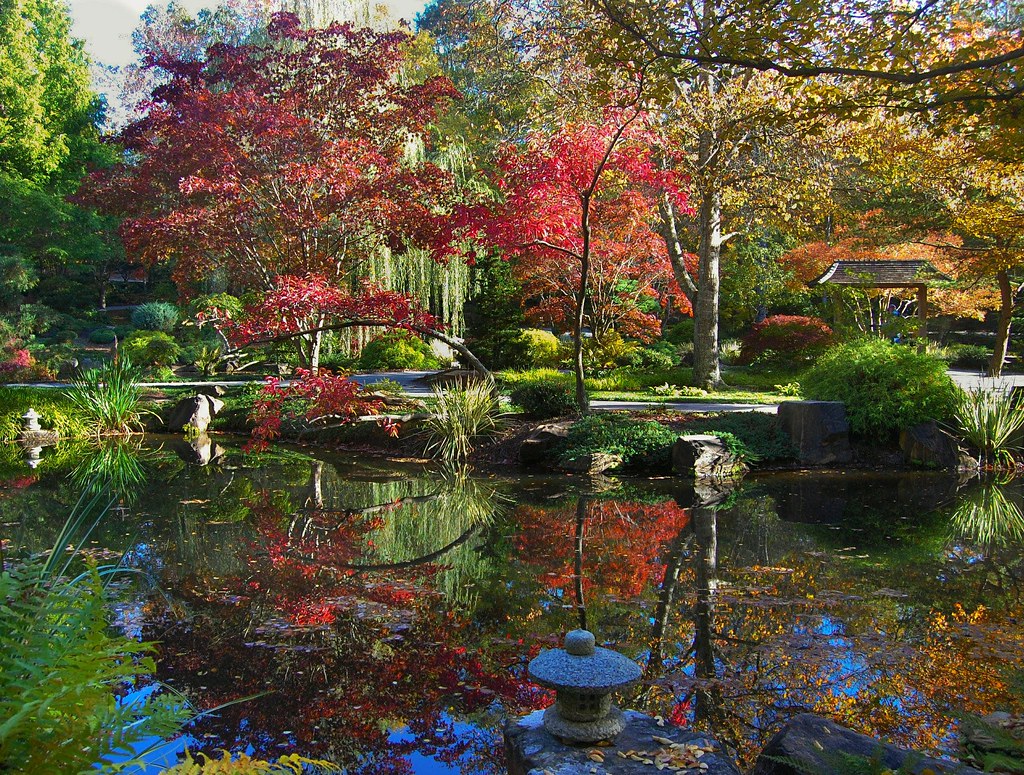 October Morning at Gibbs Gardens, Ball Ground, Flickr