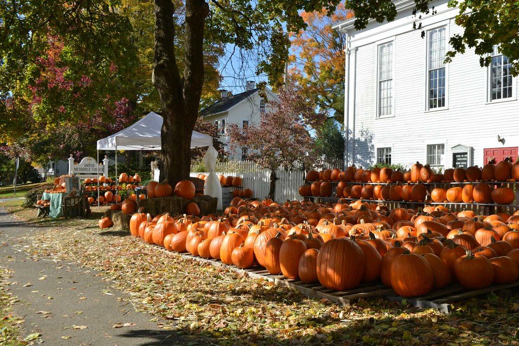 Pumpkin Patch in Vermont Nick Loehr Flickr