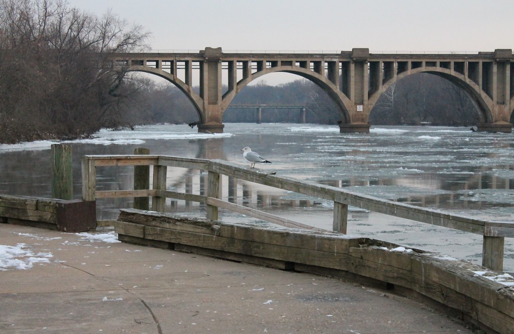 Fredericksburg Snow Fredericksburg, Virginia Snow on 24 an… Flickr