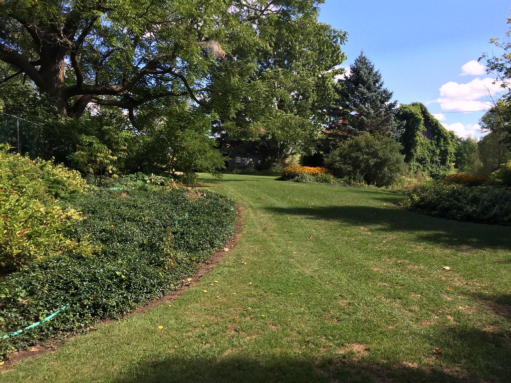 IMG_2105 Moffat Gardens in September Melanie Gardiner Flickr