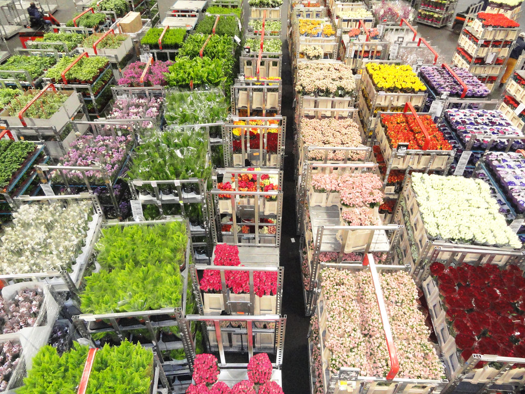 Flower Market at Aalsmeer, the Netherlands Alan Prather Flickr