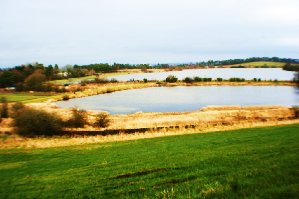 Darnley Country Park Glasgow, Scotland nigel cole Flickr
