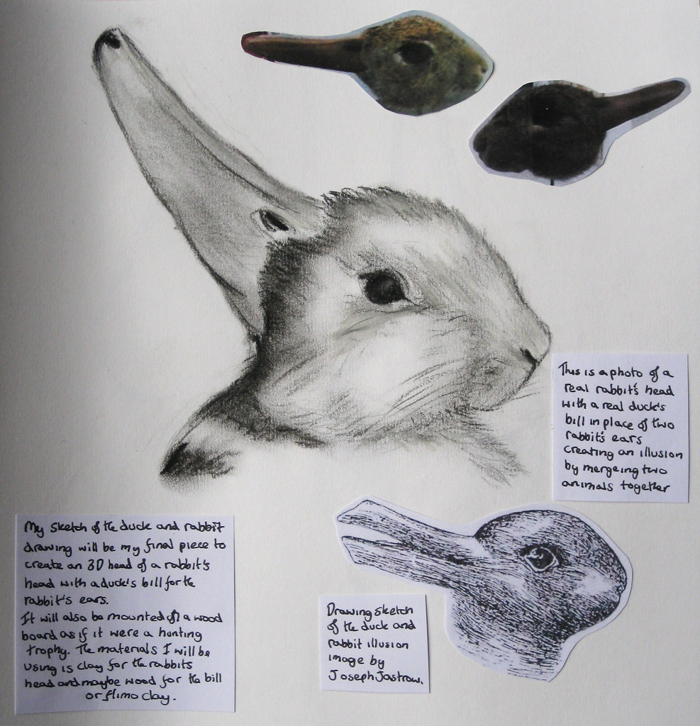 RabbitDuck Drawing Detailed pencil drawing for final piec