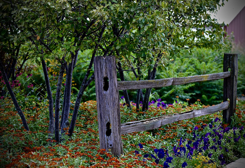 Peck Farm Explore 381 8162016 Geneva Illinois Flickr