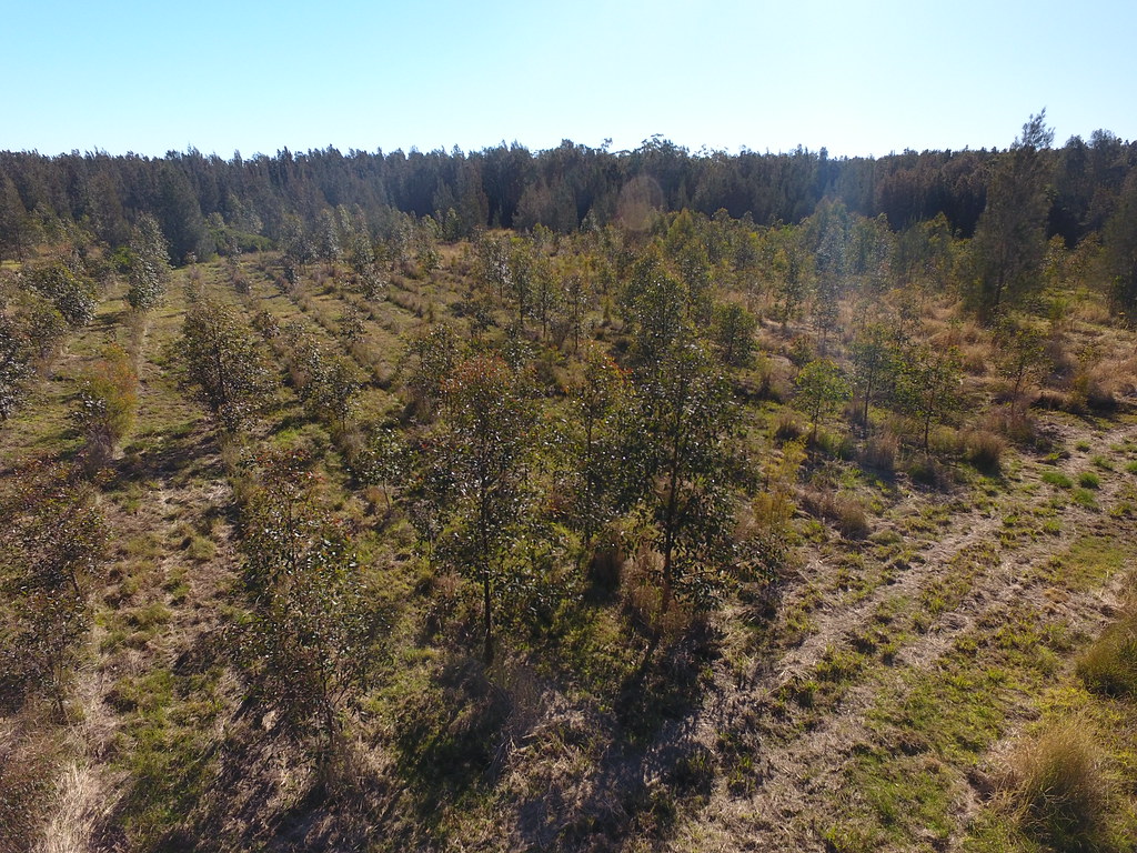 Site 525_Great Lakes, NSW July 2018 Drone footage captur… Flickr