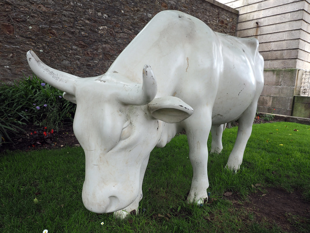 how now, white cow Royal William Yard, Plymouth, Devon Jul… Chris