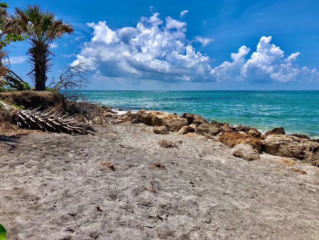 Caspersen Beach, Venice, Florida Andy Montgomery Flickr