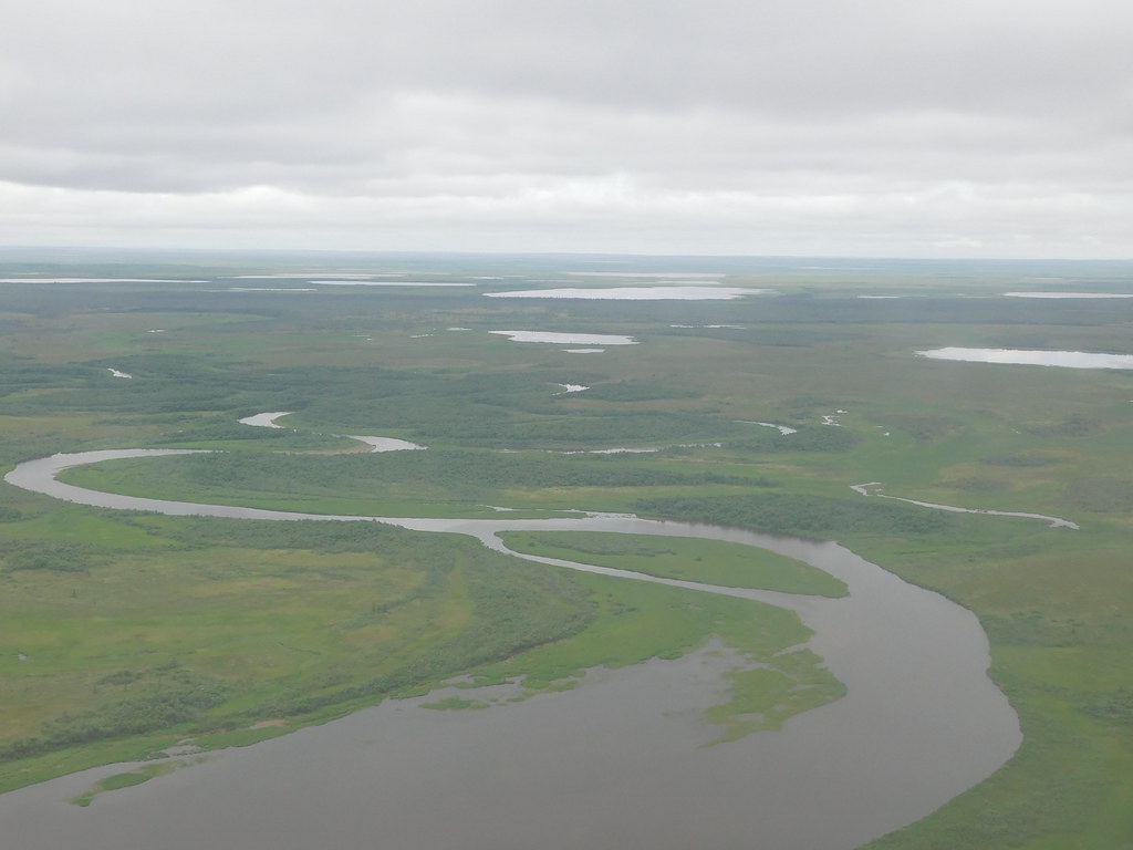 The Naknek River Landing in King Salmon, Alaska Jimmy Emerson, DVM
