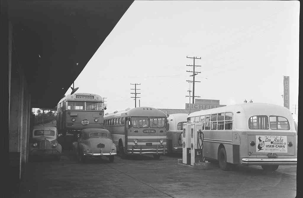 Buses at Lynwood yard 1950s bw JW Metro Library and Archive Flickr