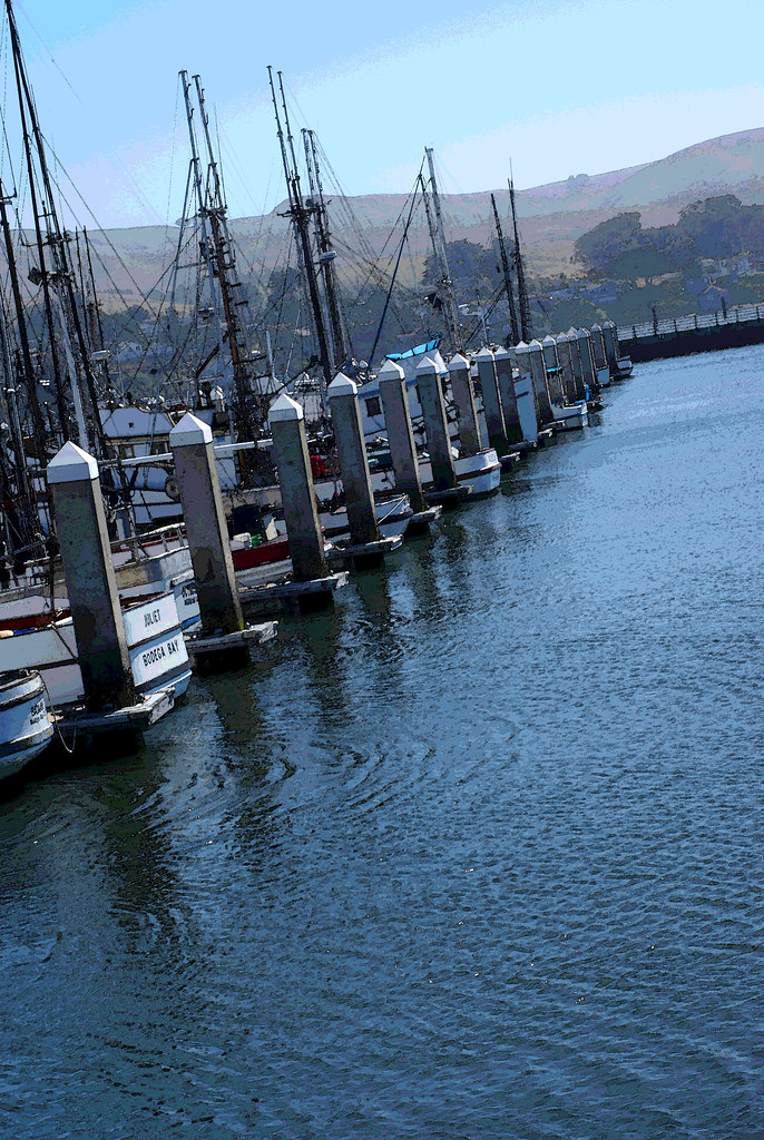Bodega Bay Marina SONY DSC mlfojtik Flickr
