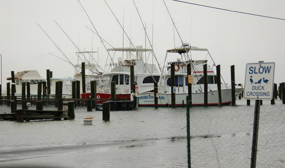 Wachapreague Marina, Va. Rising Waters Waters rose from Hu… Flickr