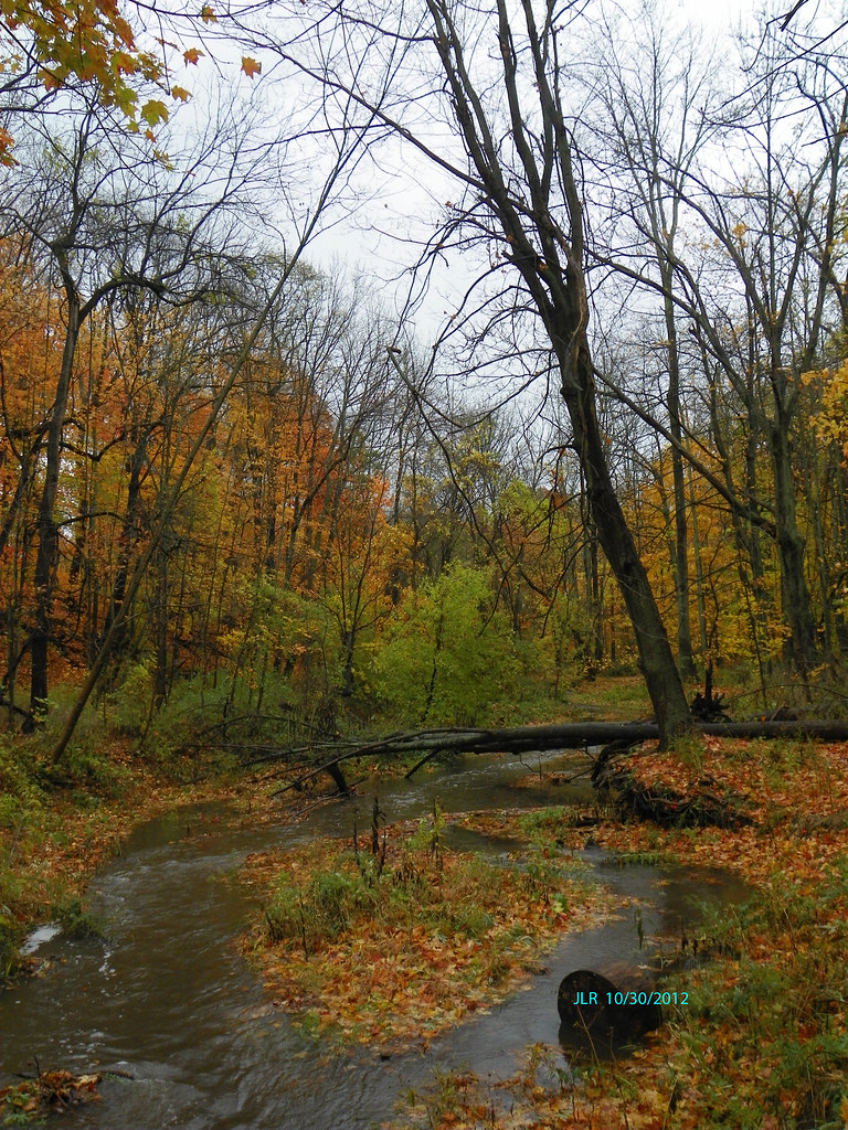 KEG CREEK Tributary of Lake Ontario a couple miles east of… Flickr