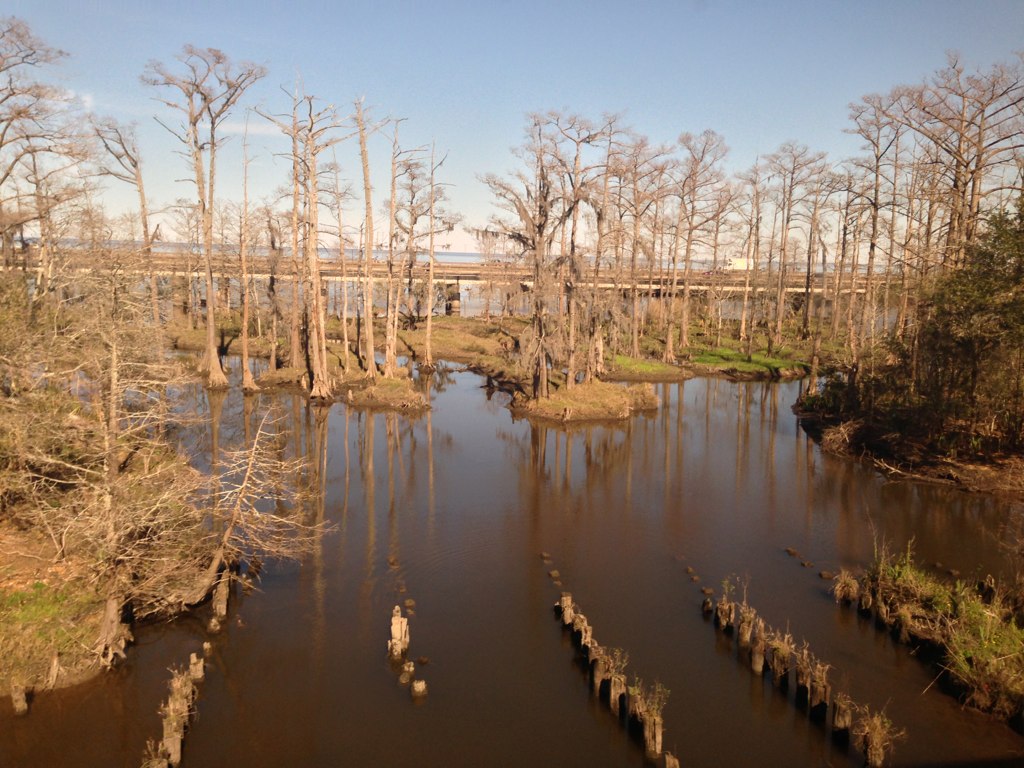 Louisiana swamp lands Lindsay & Val SK Flickr