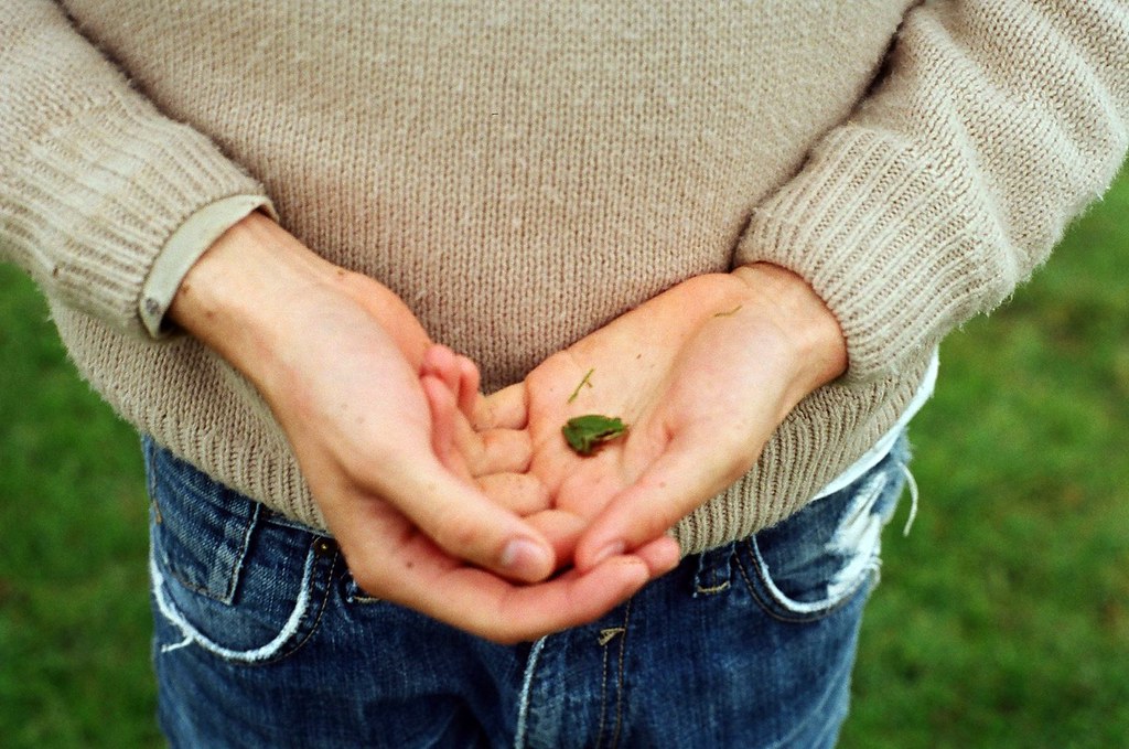 Morelia Instagram ferfarfan / New project Comes & Goes Flickr