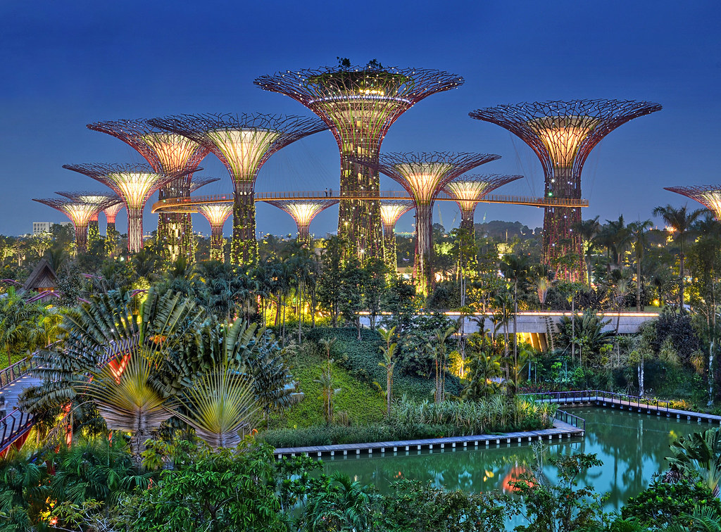 From the Dragonfly Bridge at Gardens by the Bay, Supertree… Flickr