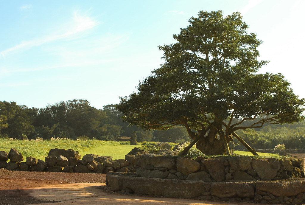 Jeju Stone Park A huge stone park in Jeju with few trails.… Flickr
