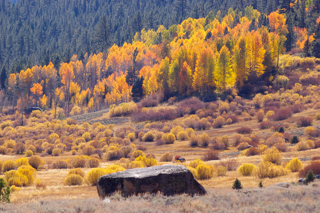 Hope Valley Fall Hope Valley, California Jonathan CookFisher Flickr