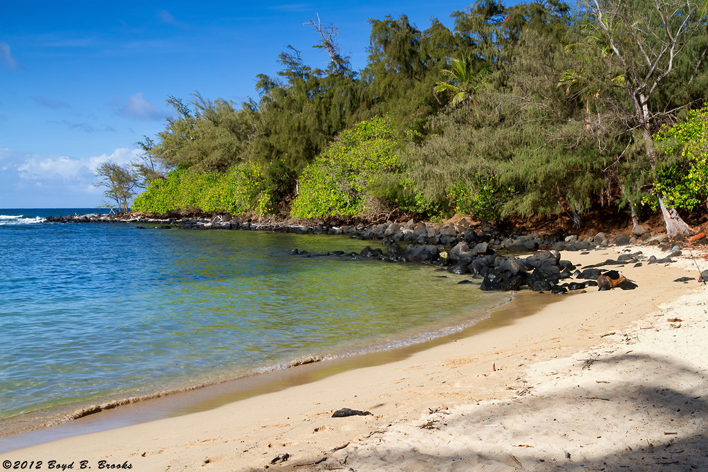 ANAHOLA BEACH PARK, KAUA'I The area around Anaholoa, on Ka… Flickr