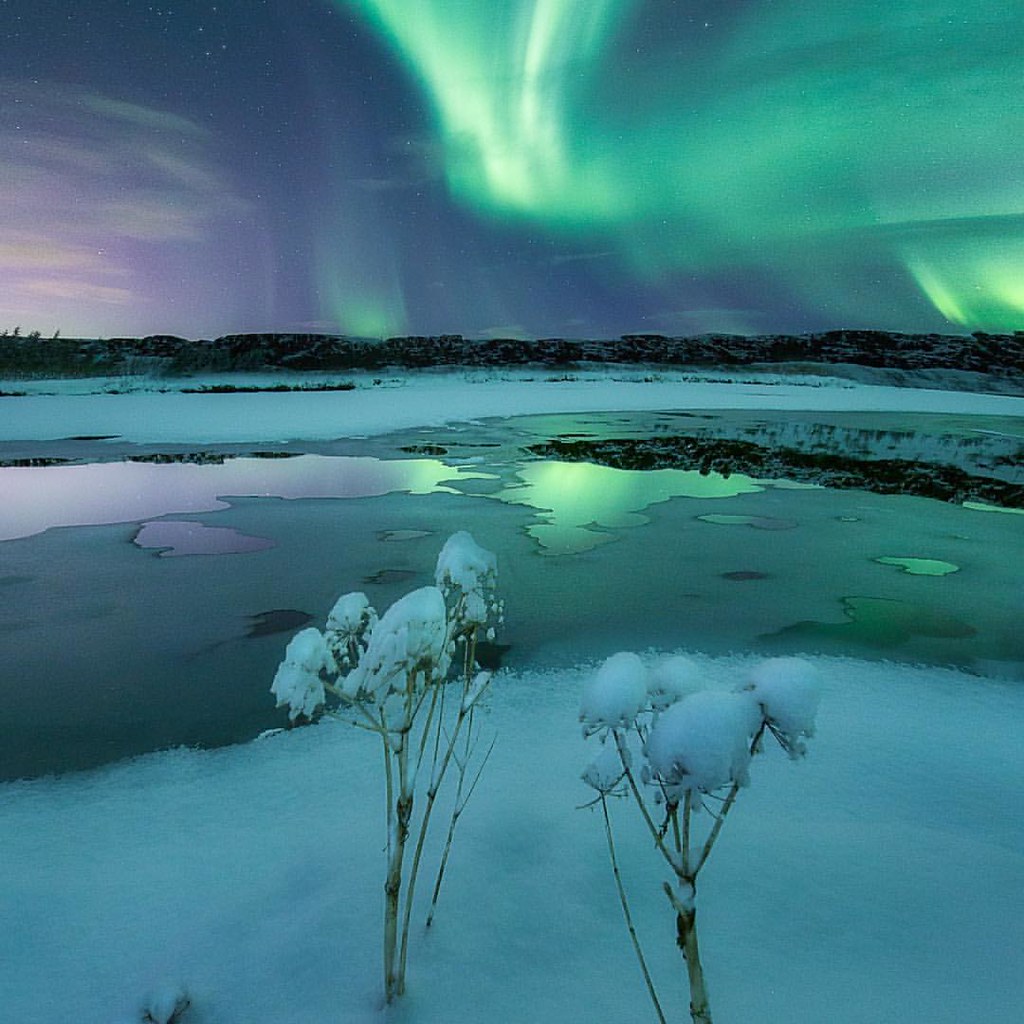 Enjoy Iceland with us. Orange Car Rental. www.orangecarren… Flickr