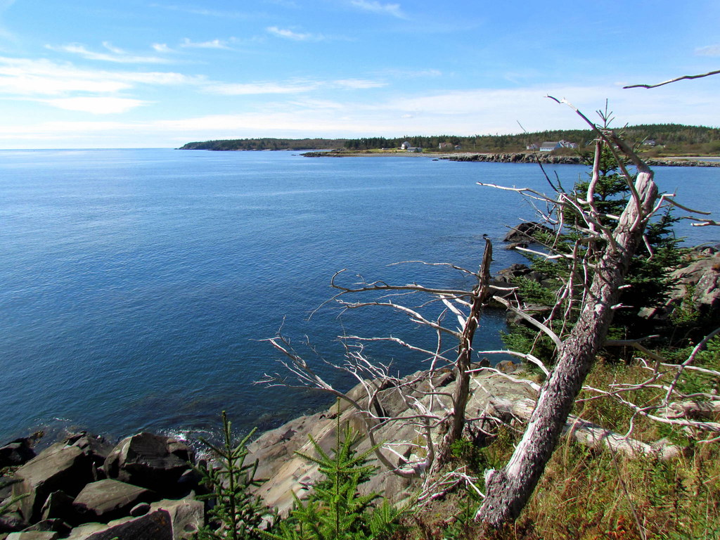 Coastal trail view, Quoddy Head State Park Quoddy Head Sta… Flickr
