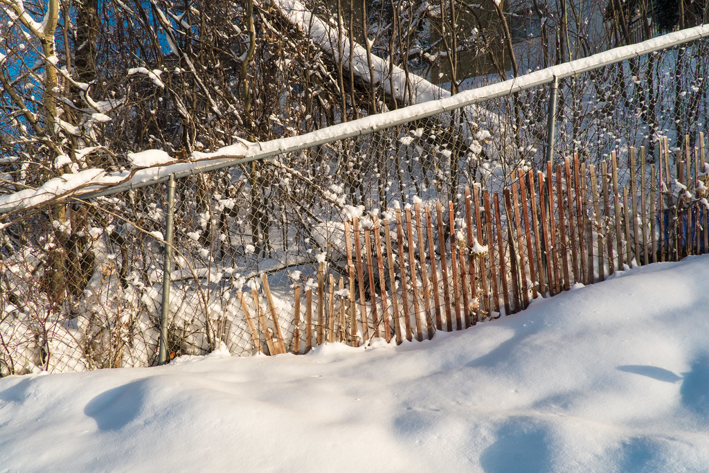 Sturgeon River Valley 02 On the banks of the frozen Sturge… Flickr