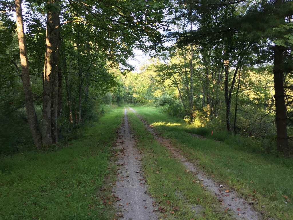Elevation of Parsons Rd, Montrose, WV, USA Topographic Map Altitude Map