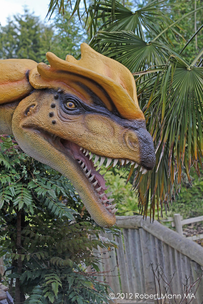 Chester Zoo Dinosaurs Exhibit Saturday 5th May 2012 Flickr