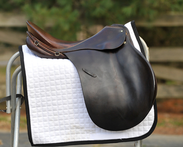 Passier Saddle for Sale Passier VSDtype allpurpose saddl… Flickr