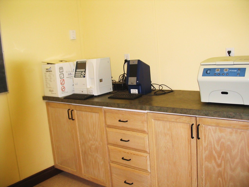 lab Campbell Road Veterinary Services Flickr