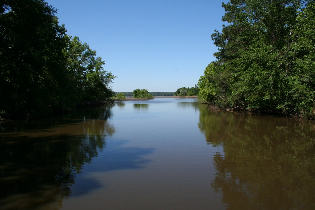 Lake Livingston The shores of Lake Livingston in the Trini… Flickr