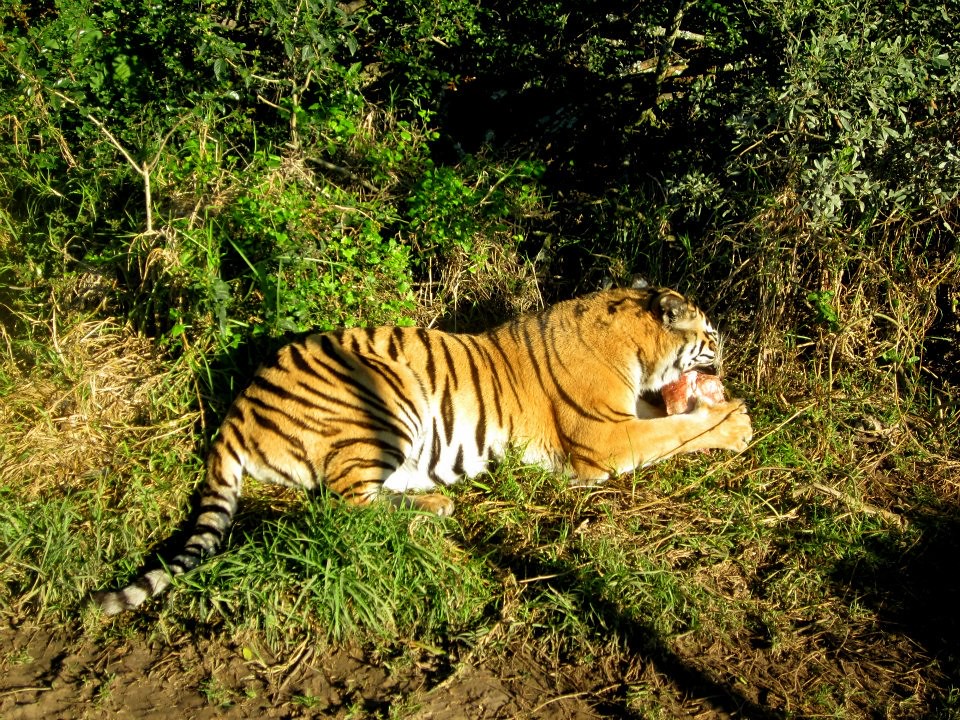 South Africa Field Guide Course Images by volunteer Imogen… Flickr