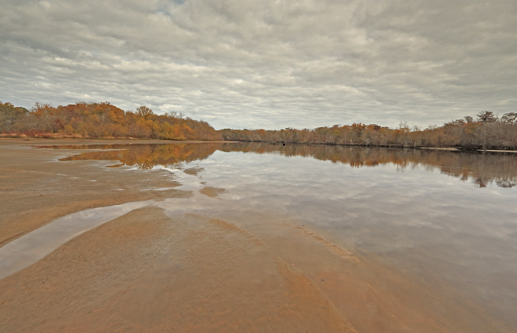 Altamaha River (low tide), Altamaha Park, Glynn and McIntosh Counties