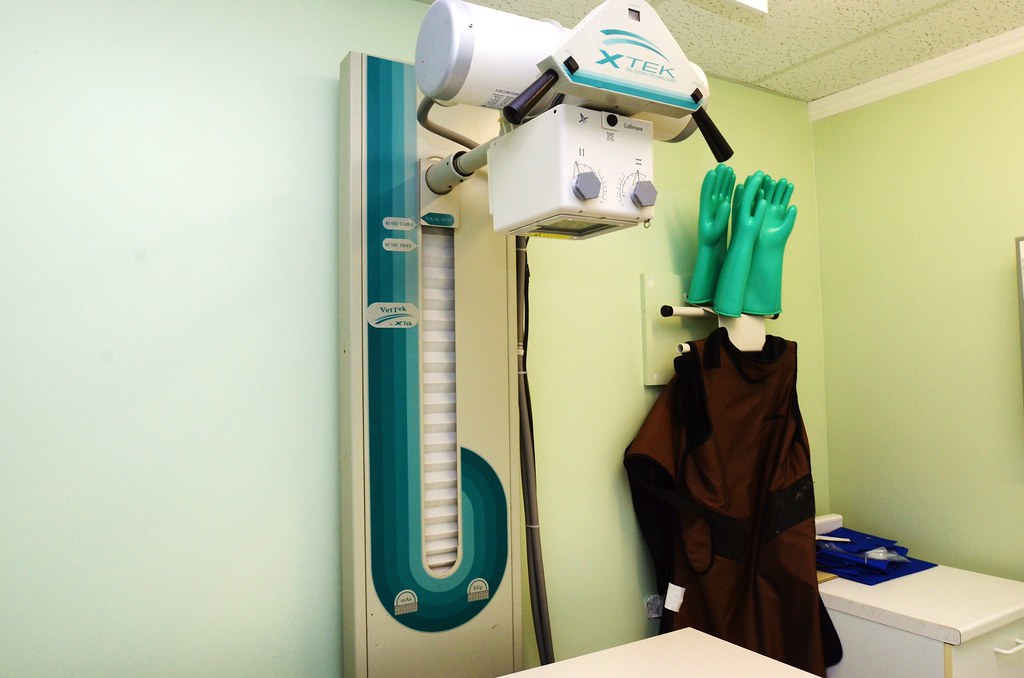 x ray Campbell Road Veterinary Services Flickr
