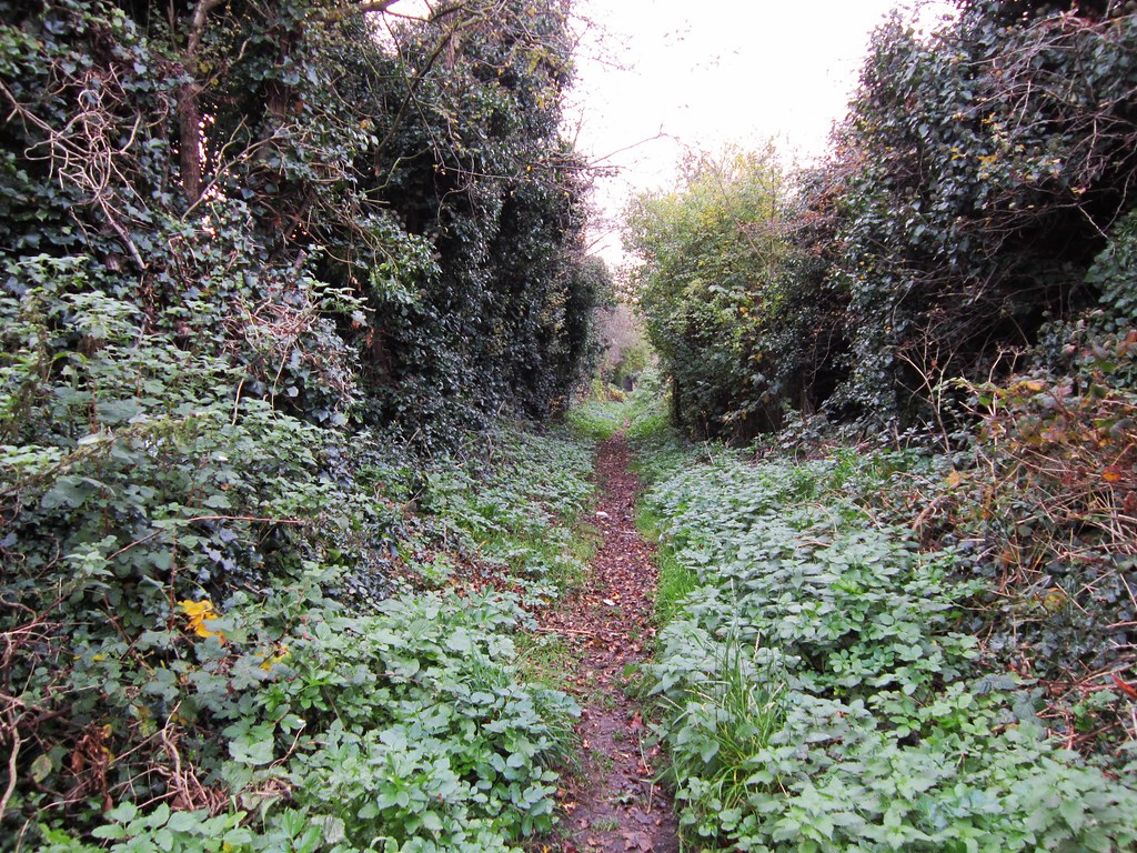 Bradwell Footpath Near Great Yarmouth. LookaroundAnne Flickr