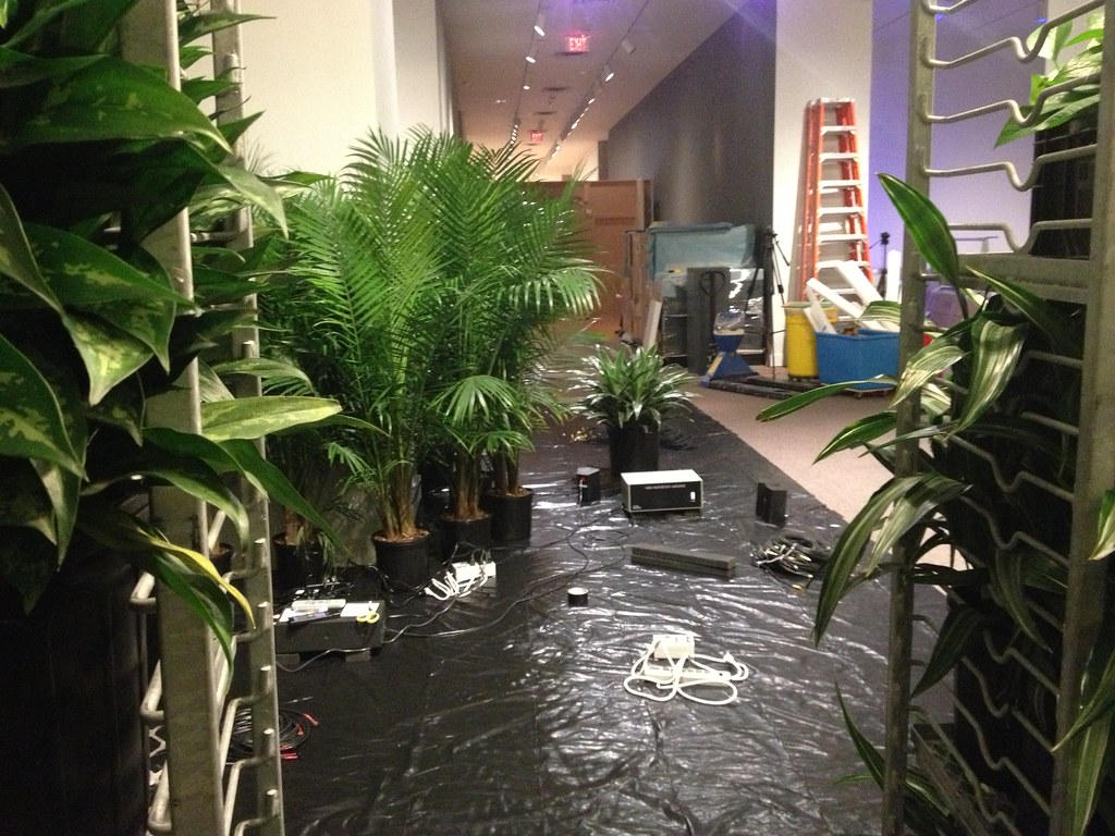 Installing "TV Garden" TV Garden by Nam June Paik, 1974/20… Flickr