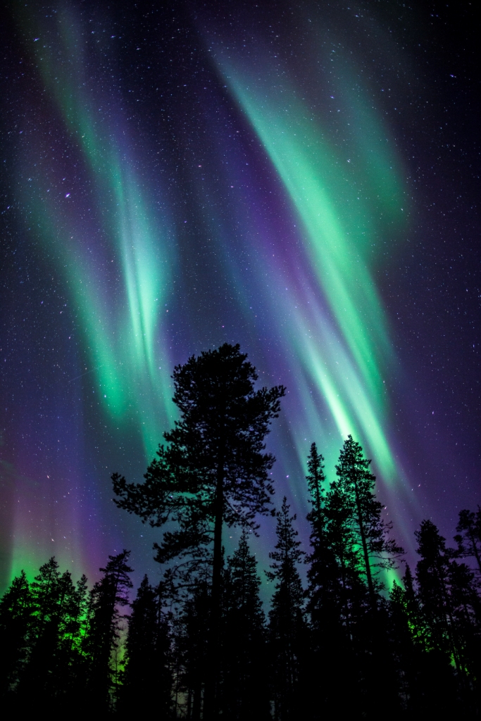 Colours of the Aurora Borealis Stunning Northern Lights in… Flickr