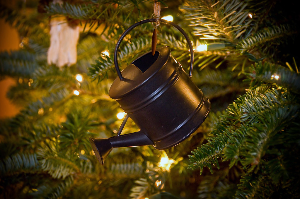 Ornament Watering Can Christmas Ornaments 2012 Flickr