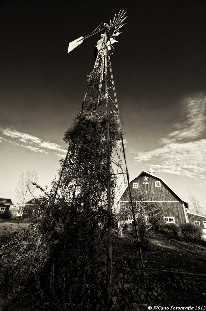 At Star Valley Flowers Jools Flickr