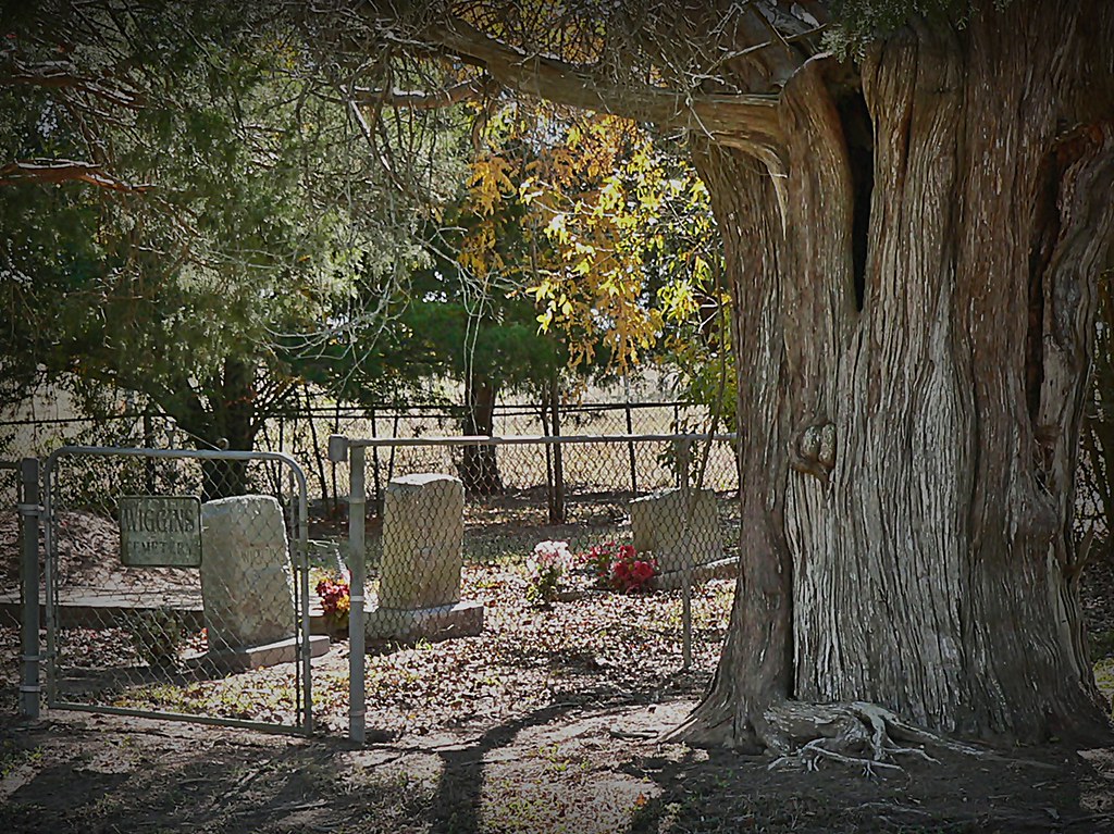 Wallisville Higgins Cemetery OLD Pecan Tree CROP Thank you… Flickr