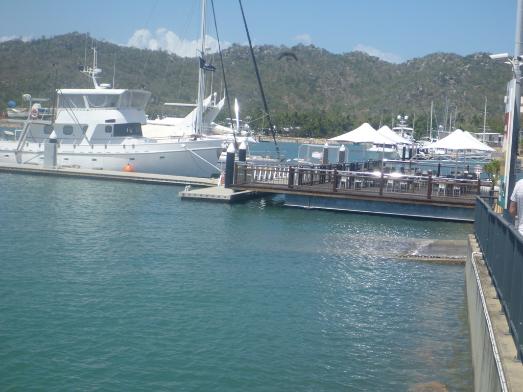 Island, Nelly Bay Harbour, Blue on Blue Peppers d… Flickr