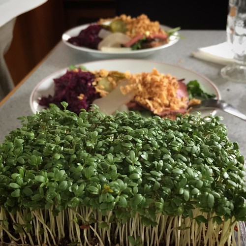 Something fantastic is going to happen. Food. Lis Sun