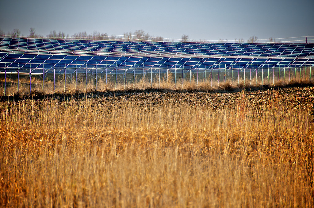 Solar Harvest a different kind of crop this is just a smal… Flickr