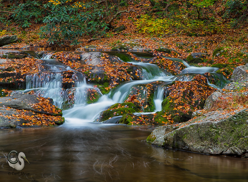 Elevation of Walland Center, E Lamar Alexander Pkwy, Walland, TN, USA
