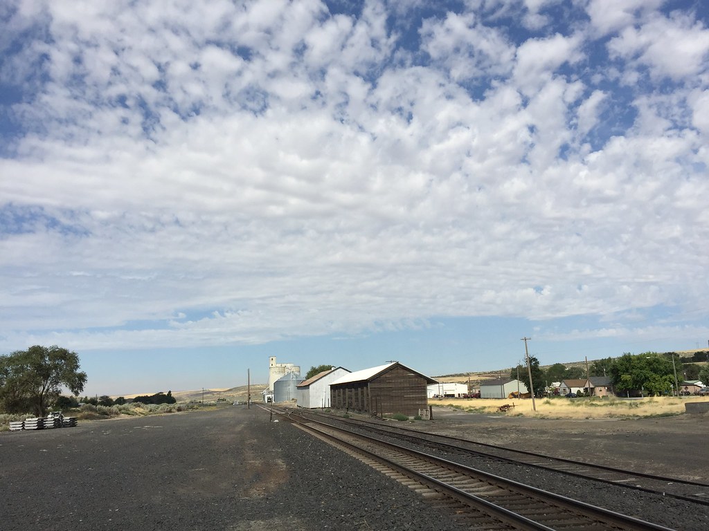 Lind Washington, August 6 2016. Dan Haneckow Flickr