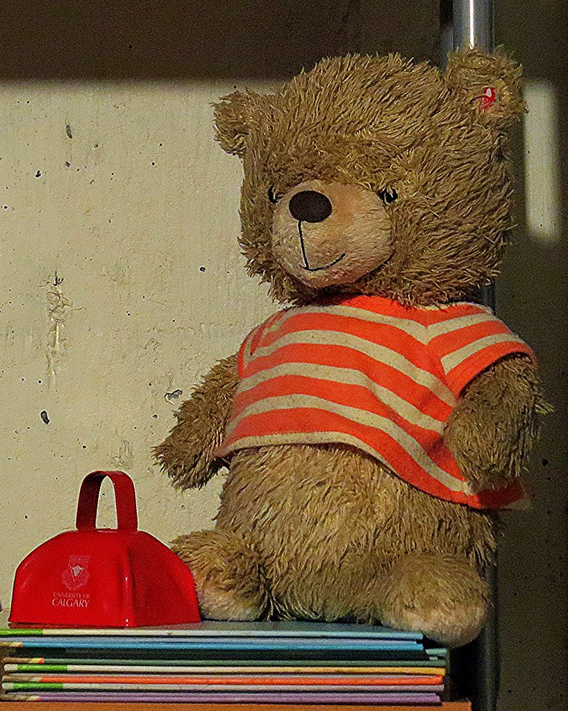 Teddy Bear On A Shelf Teddy Bear Found this old Teddy Bear, placed on a shelf, i&hellip; Flickr